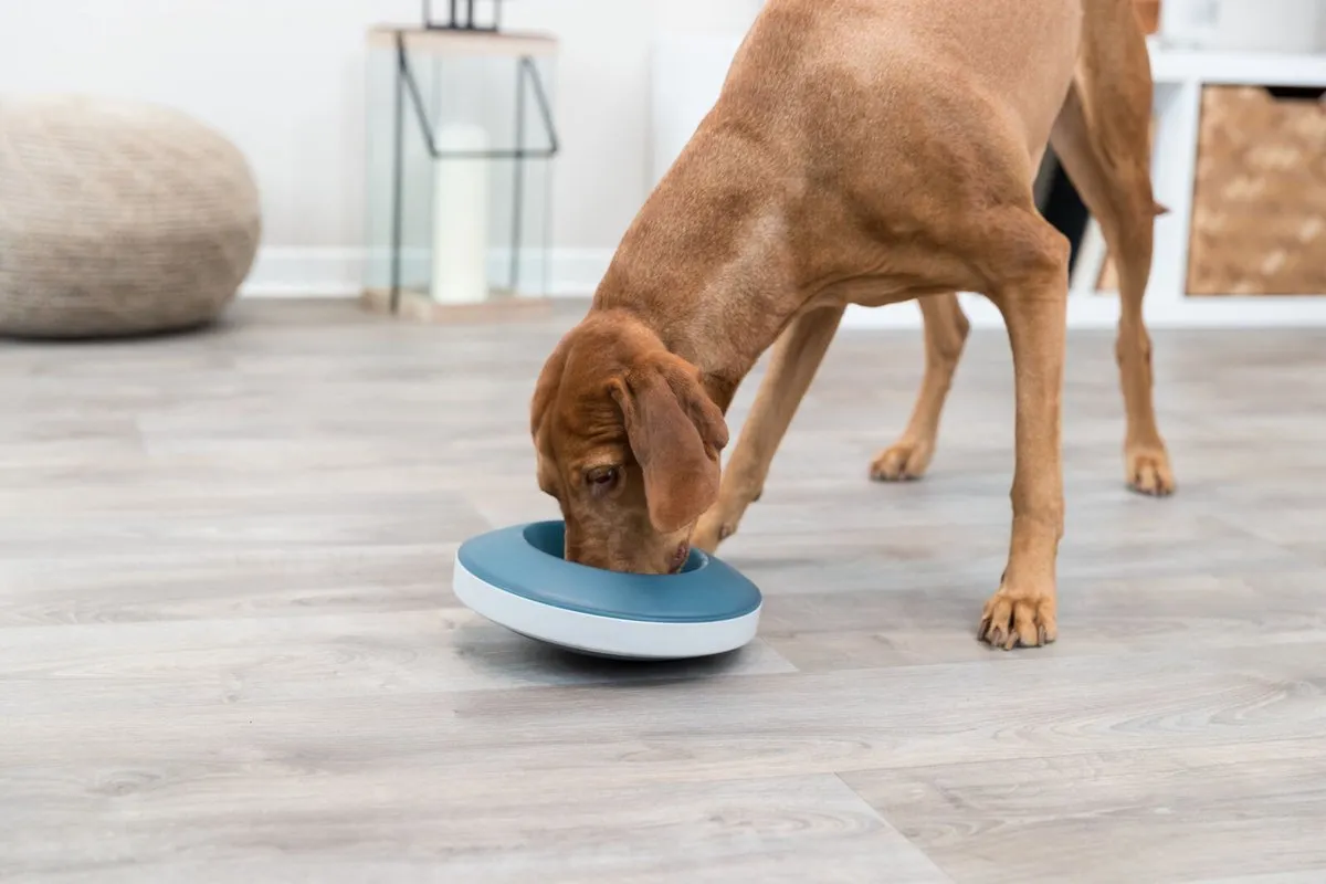 Trixie Slowfeeder Hond Rocking Bowl - Grijs/Blauw 23cm