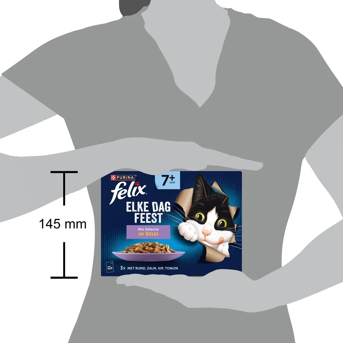 Felix Elke Dag Feest 7+ Senior Mix Selectie Natvoer - 48 x 85g
