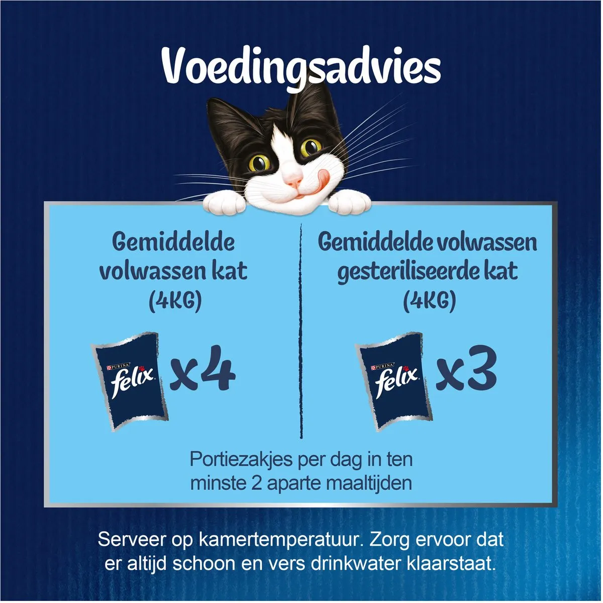 Felix Kattenvoer Nat in Gelei Elke Dag Feest Vis Selectie - 12 Stuks