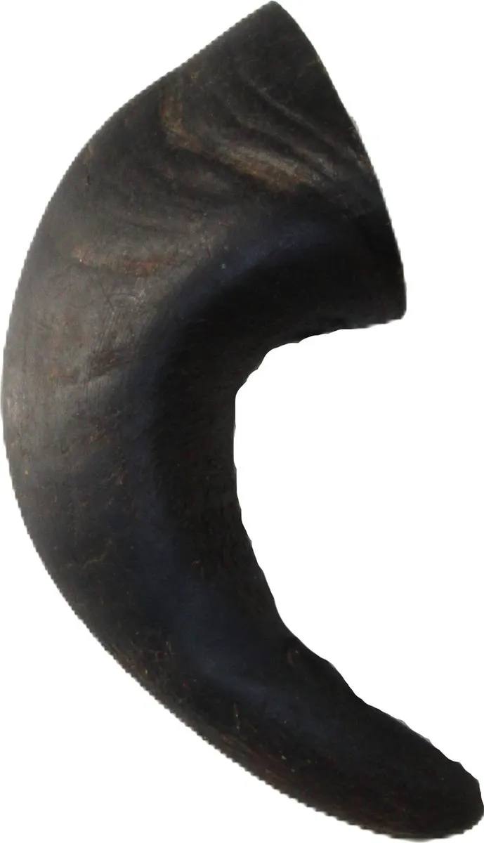 Trixie Kauwsnacks Buffelhoorn 6 Stuks