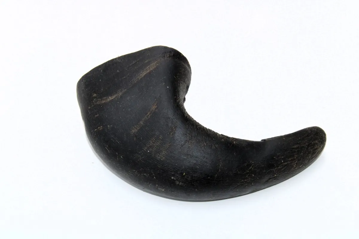 Trixie Kauwsnacks Buffelhoorn 6 Stuks - 15cm