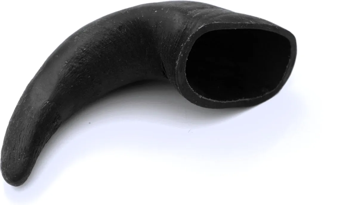 Trixie Kauwsnacks Buffelhoorn 6 Stuks - 15cm