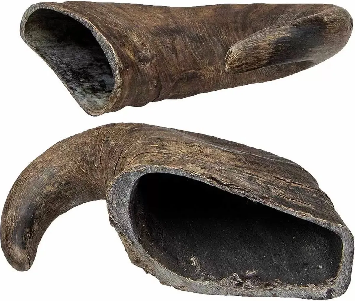 Trixie Kauwsnacks Buffelhoorn 6 Stuks - 15cm