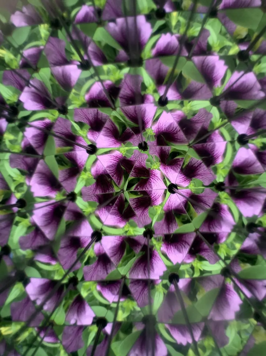 Kikkerland Huckleberry Kaleidoscoop - afbeelding 2 van 4