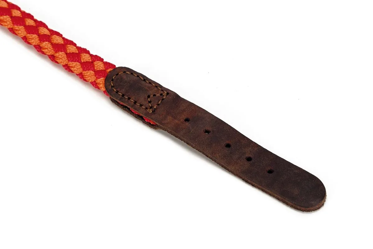 Beeztees Korda Halsband Hond - 47-53cm - Rood/Oranje