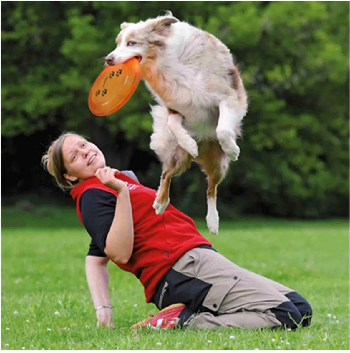 Trixie Dog Disc Honden Frisbee - 23cm Blauw - 2 Stuks