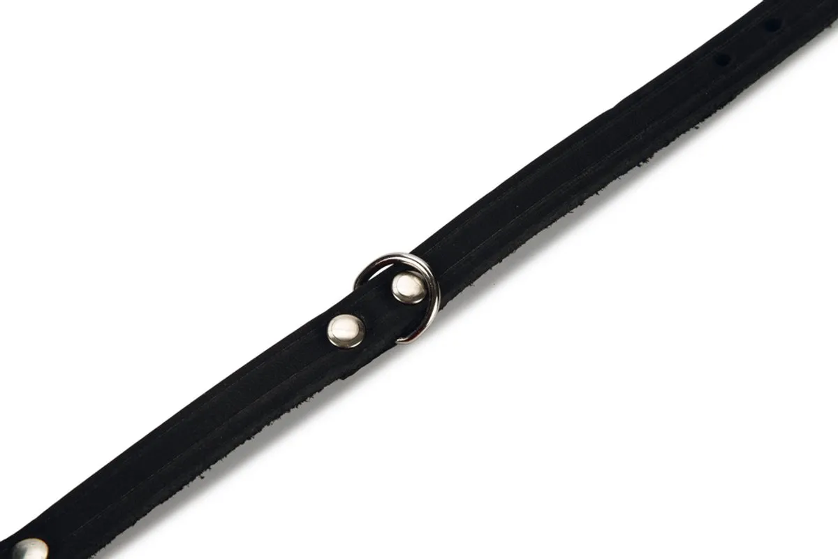 Beeztees Halsband Hond Leer - Zwart - 17,5-22,5cm x 10mm