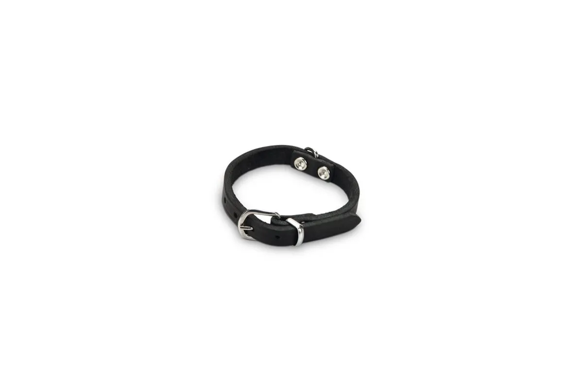 Beeztees Halsband Hond Leer - Zwart - 17,5-22,5cm x 10mm