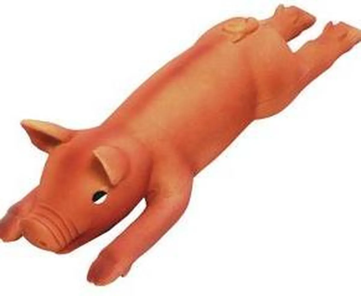 Flamingo Latex BBQ Varken Hondenspeelgoed 25cm - Oranje
