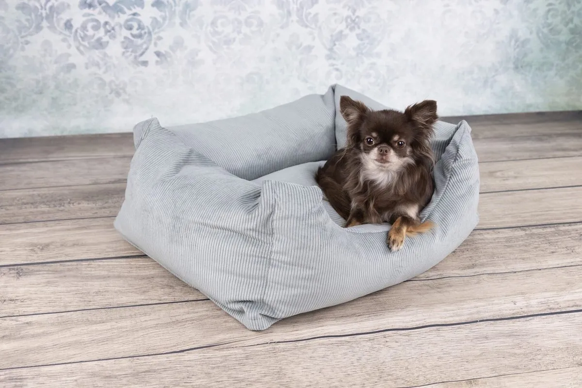 Flamingo Celeste Mand Honden 136019 - 100x80x30cm - Muntgroen