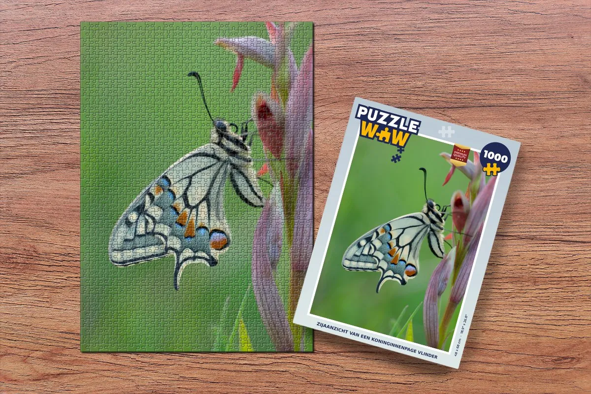 PuzzleWow Legpuzzel Zijaanzicht Koninginnenpage 1000 Stuks - Multicolor