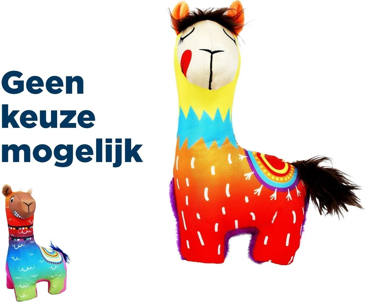 KONG Ballistic Vibez Lama - Blauw