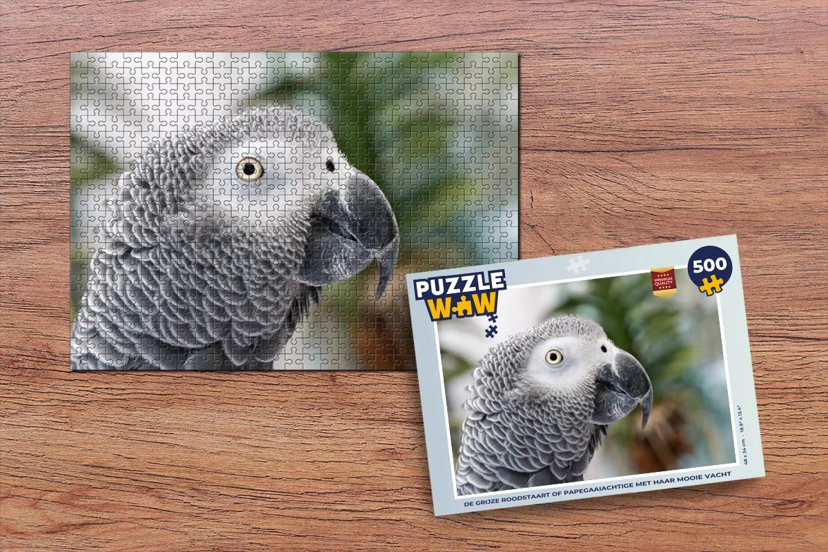 PuzzleWow Legpuzzel 500 Stuks - Multicolor