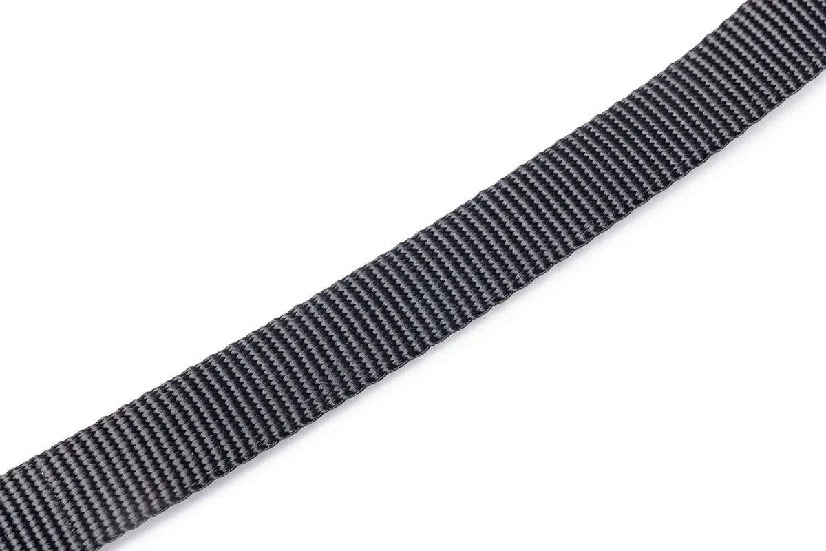 Beeztees Parinca Premium Hondenriem - 180cm x 20mm Zwart