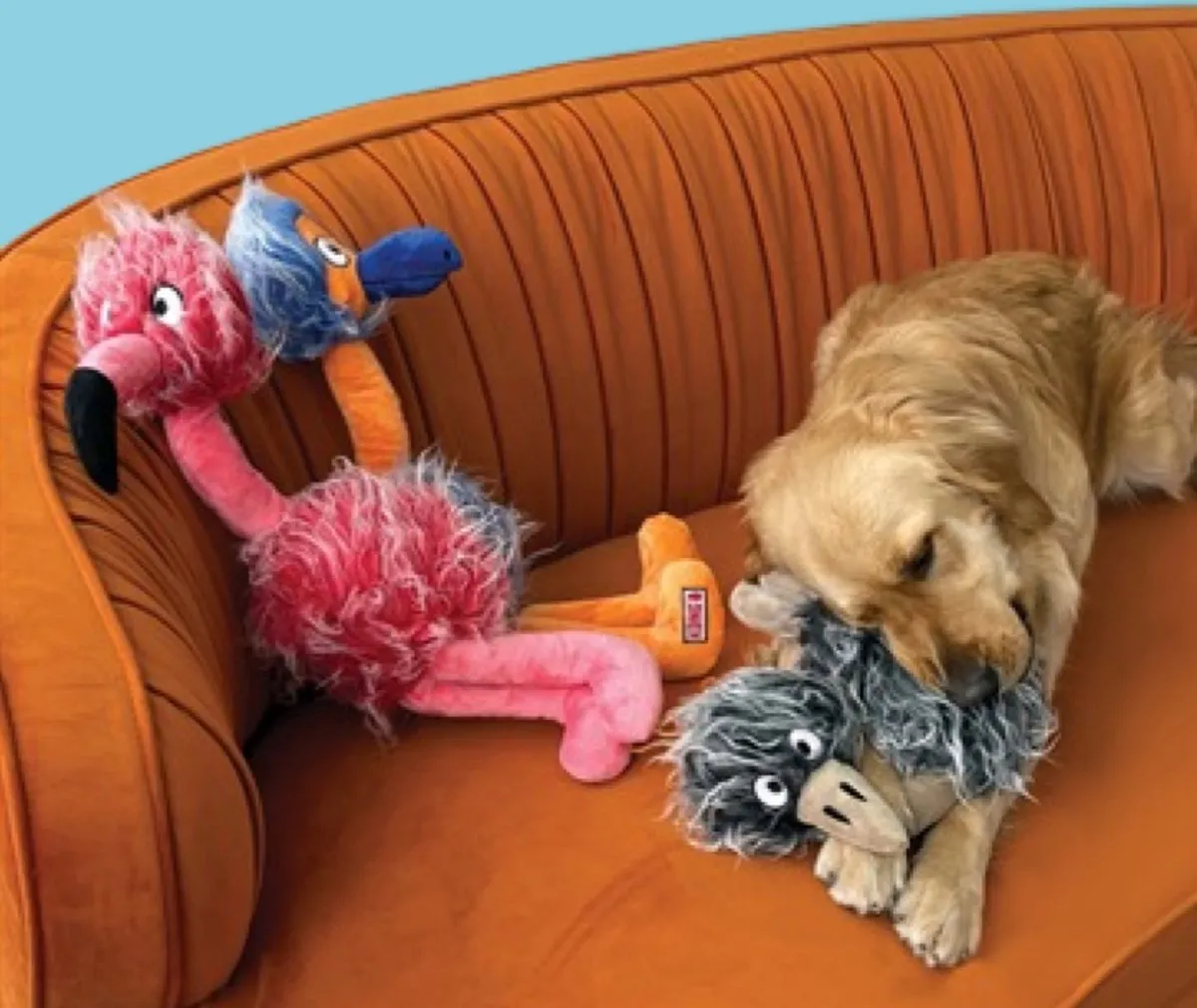 KONG Comfort Jumbo Birds Vogel - Assorti