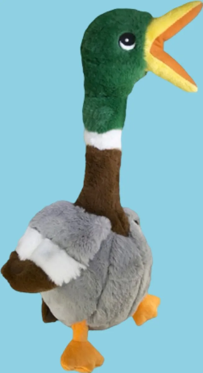 KONG Shakers Honkers Eend - Groen