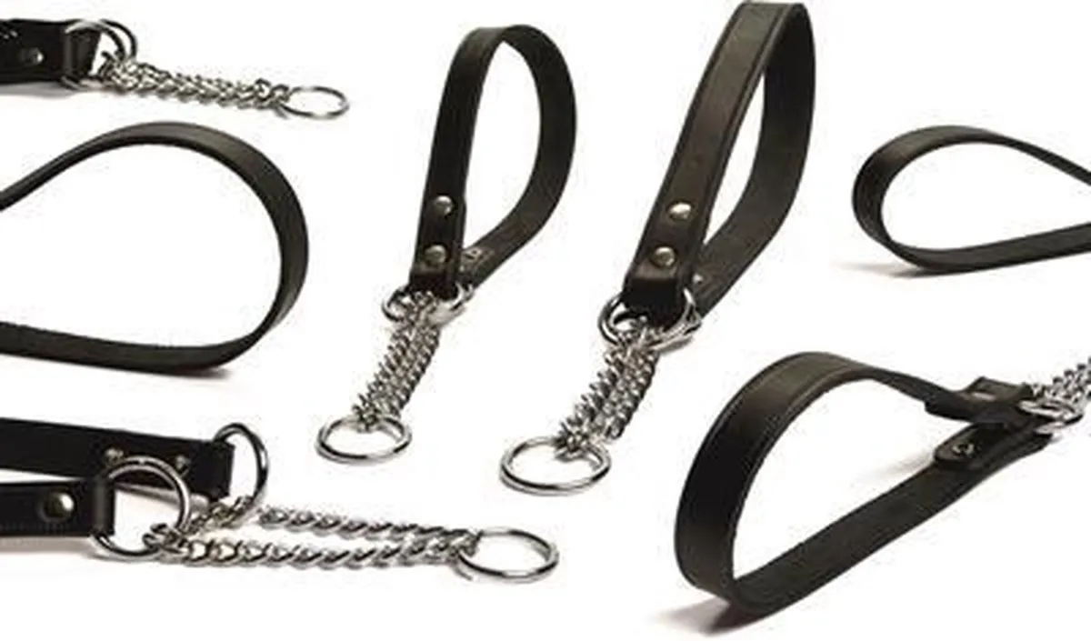 Beeztees Wurghalsband met ketting 55cm x 25mm