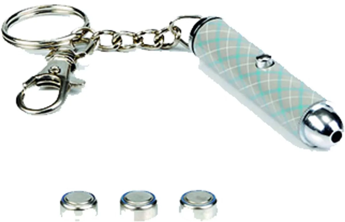 Beeztees Follow Me Laserlampje - Kattenspeelgoed 14x2x1,5cm - Zilver