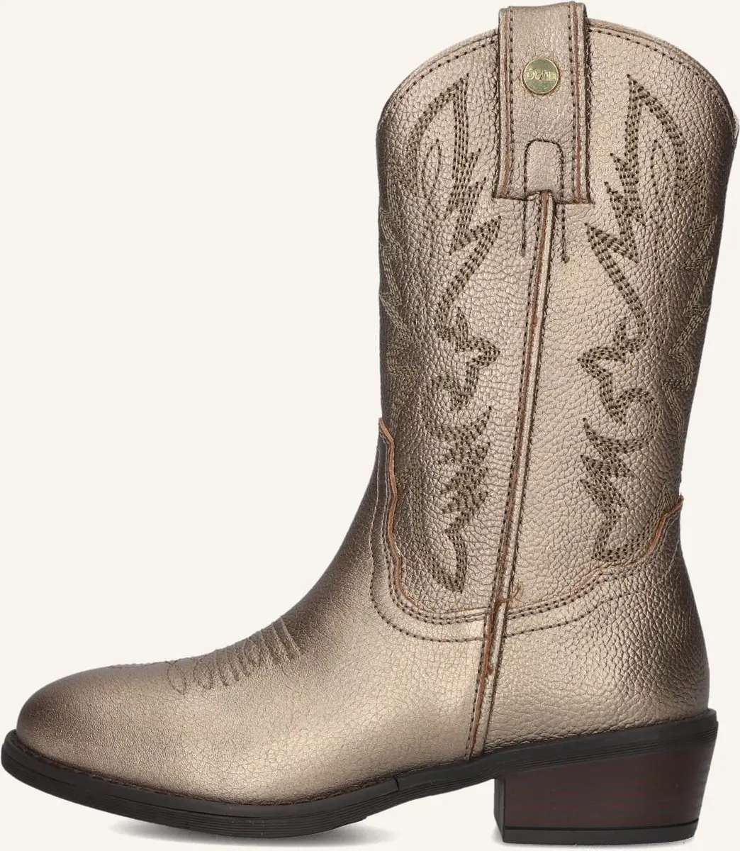 Develab 44374 Kinderlaarzen Metallics 34 - afbeelding 4 van 6