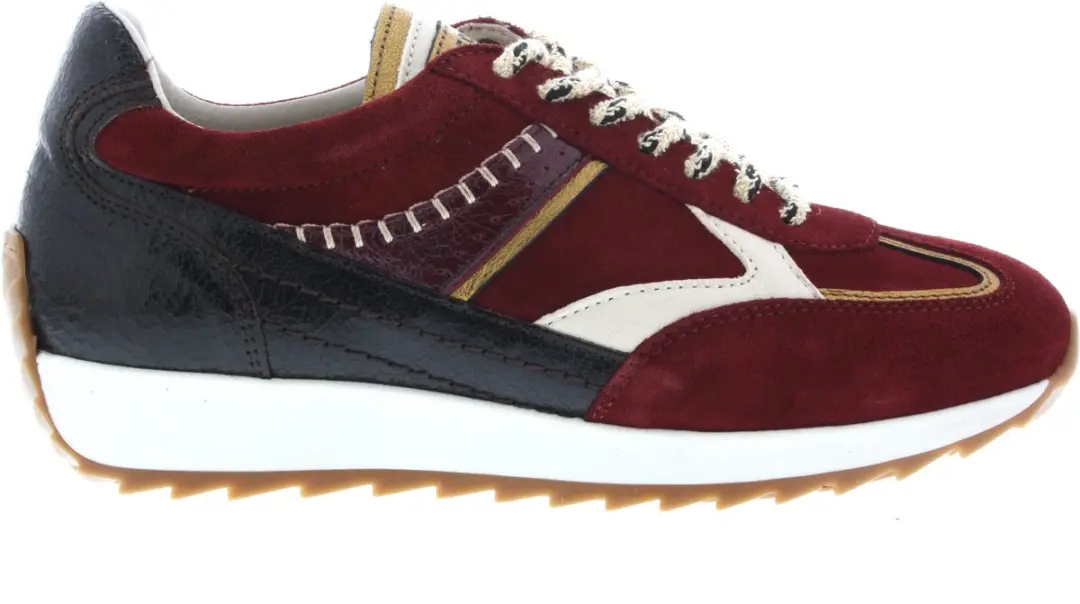 Piedi Nudi Harlem Sneakers