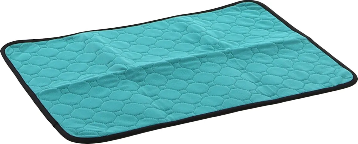 Flamingo Patsy Trainingsmat Honden Groen S 54x38cm