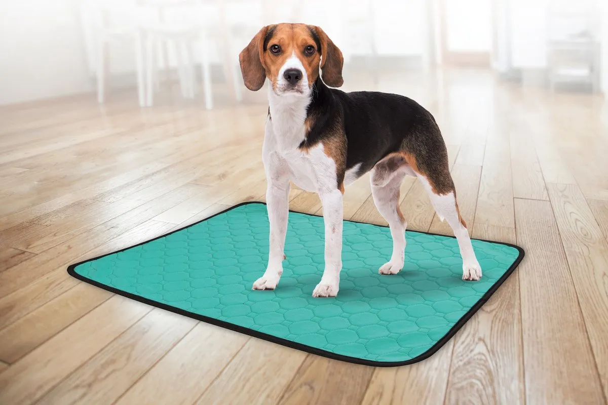 Flamingo Patsy Trainingsmat Honden Groen S 54x38cm