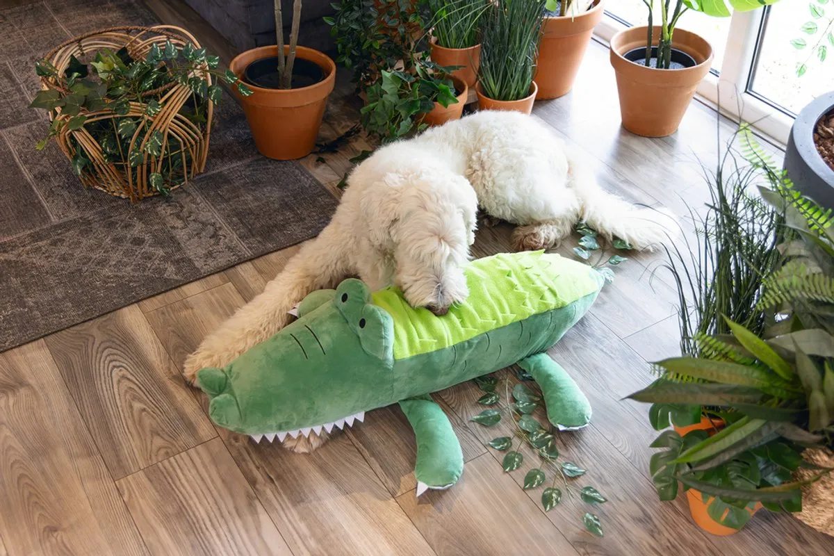 Beeztees Hide N Seek Jungle Krokodil XXL - Pluche Groen