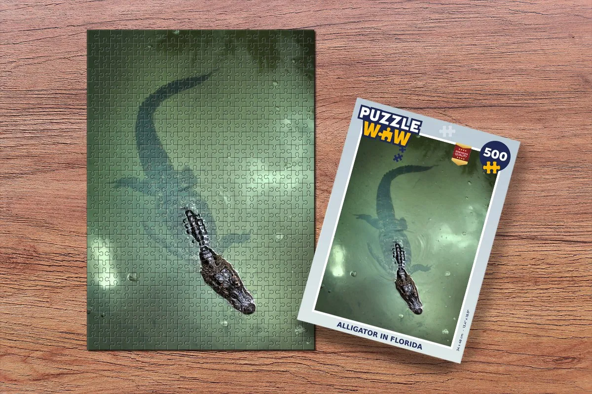 PuzzleWow Alligator Florida Legpuzzel 500 Stuks - Multicolor