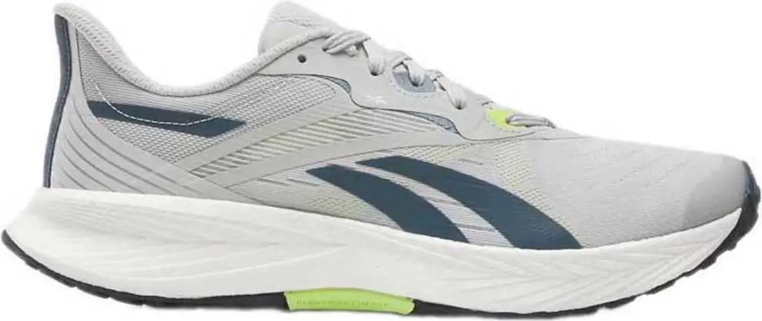 Reebok Classics Floatride Energy 5 Schoenen Grijs
