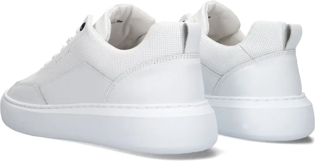 Cycleur De Luxe Roubaix-dr7 Sneakers Heren - Wit - 47 - afbeelding 5 van 6