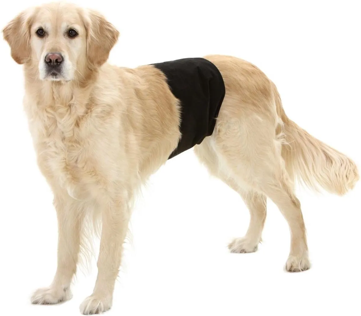 Flamingo Hondenverzorging hondenslip voor reuen - M - 49x14cm