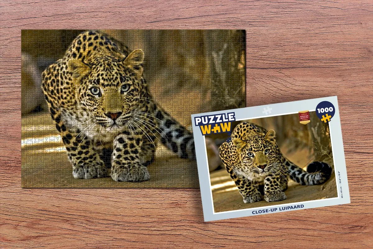 PuzzleWow Luipaard Portret Legpuzzel 1000 Stuks - Multicolor