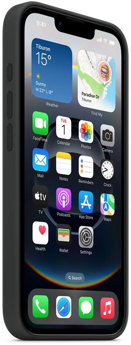 Apple Siliconenhoesje iPhone 16e - Zwart - MPN 195950217261