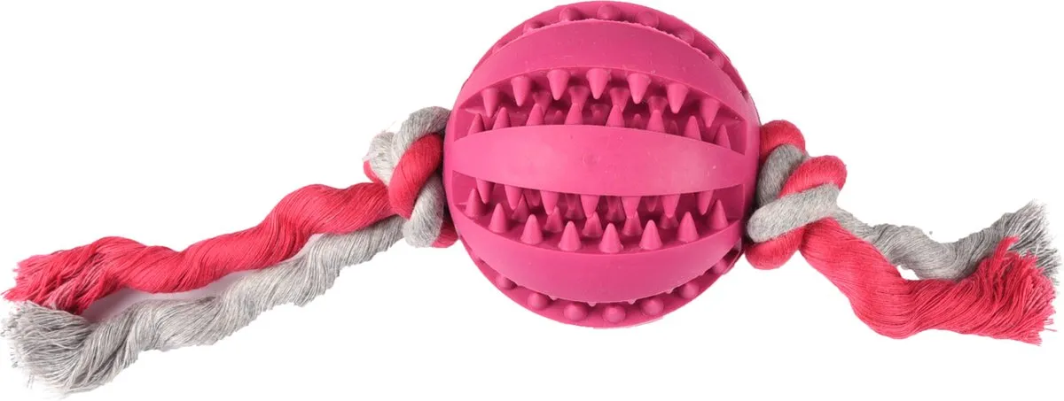 Flamingo Dental Bal met Koord - Rood/Blauw/Roze