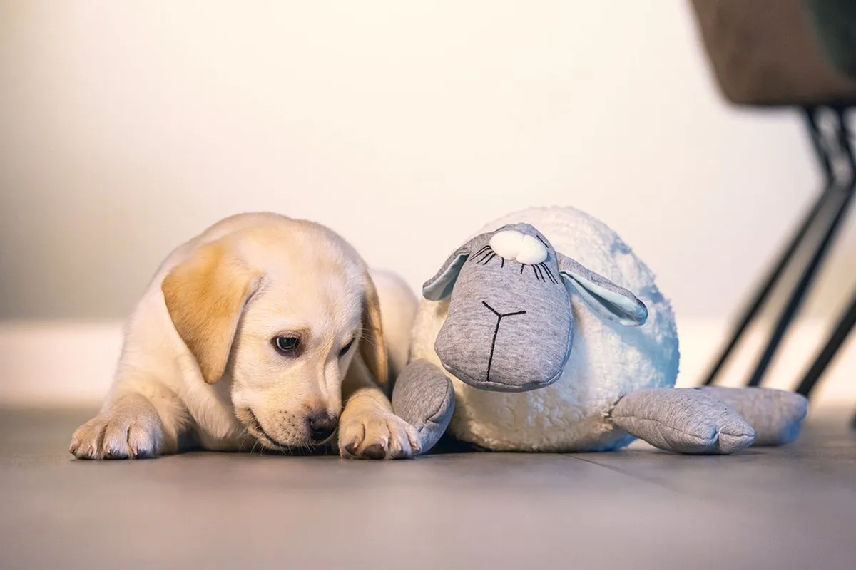 Beeztees Puppy Heartbeat Knuffel - 35x20x14cm - Wit/Grijs
