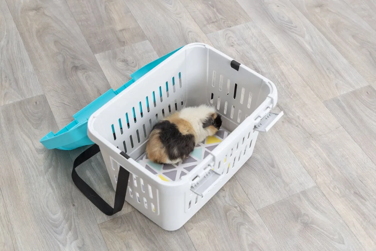 Trixie Vervoersbox Knaagdier Midi-Capri - 44x32x33cm - Donkergrijs/Lichtblauw