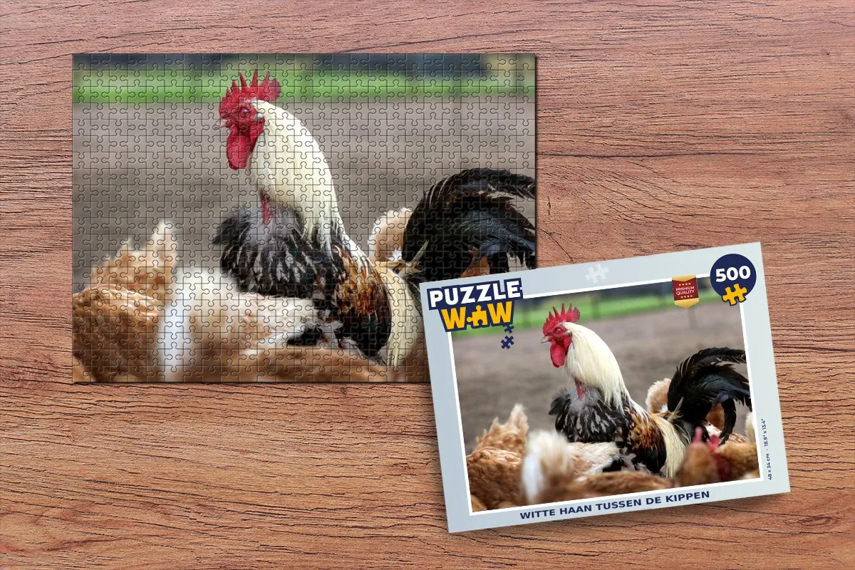 PuzzleWow Legpuzzel Witte haan tussen de kippen 500 Stuks