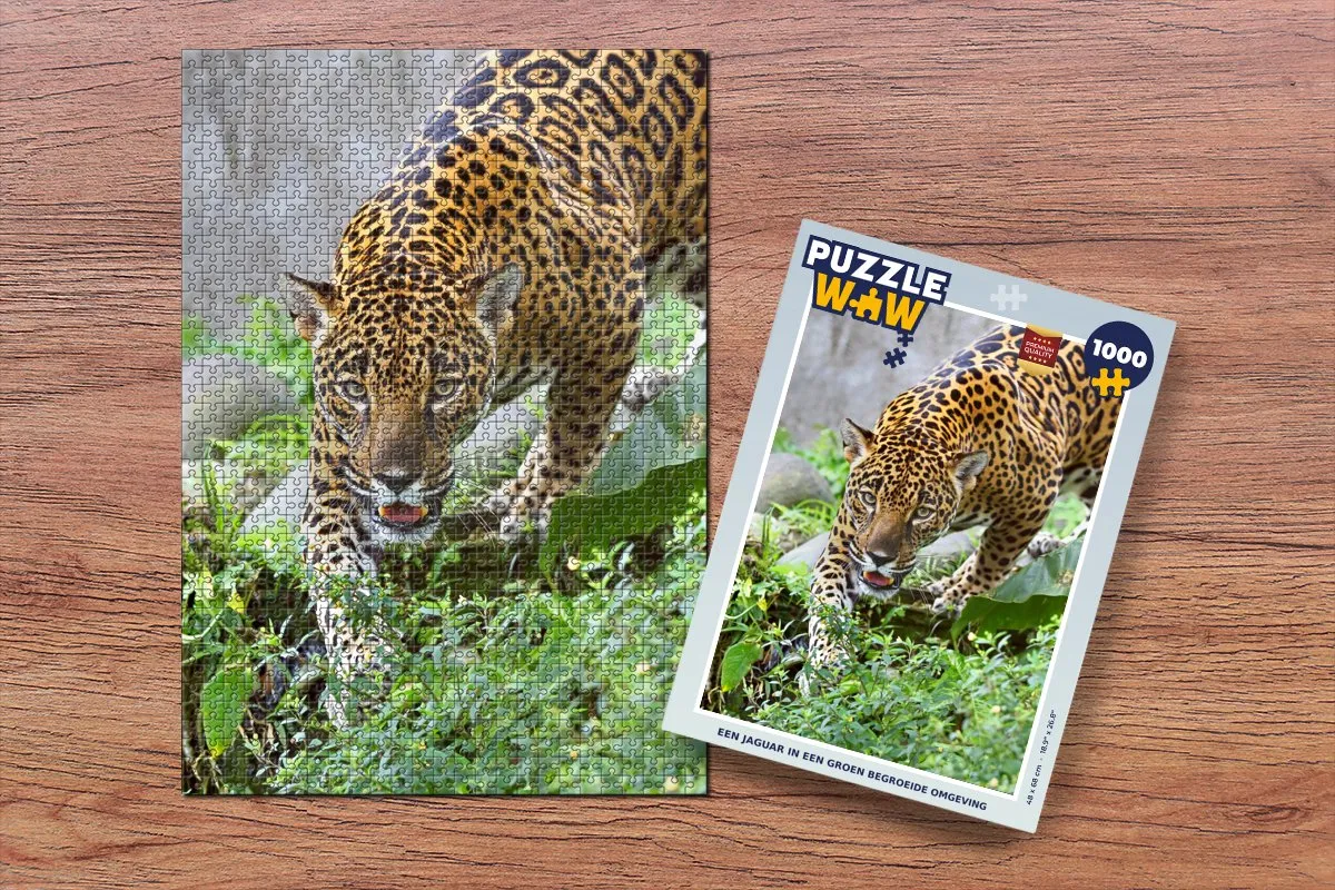 PuzzleWow Jaguar Jungle Legpuzzel 1000 Stuks