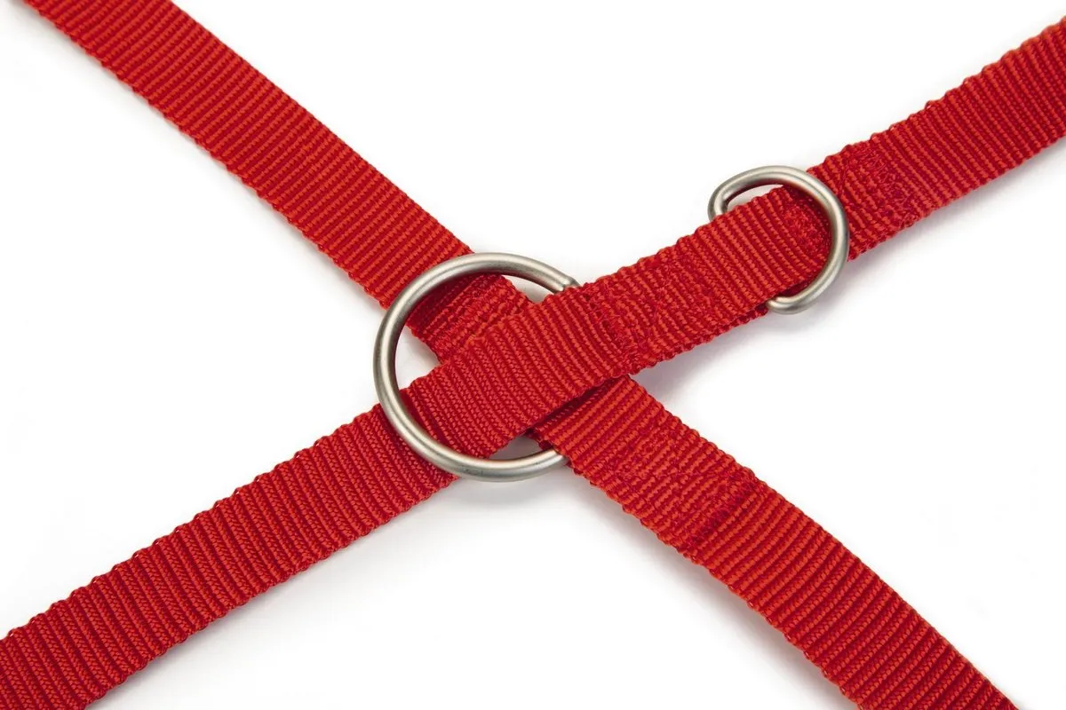 Beeztees Uni Hondenriem - 200cm x 20mm - Rood