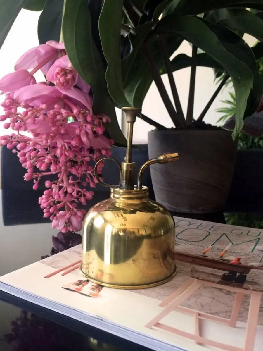 Kikkerland Vintage plantenverstuiver 0,3L - Goud - afbeelding 2 van 5
