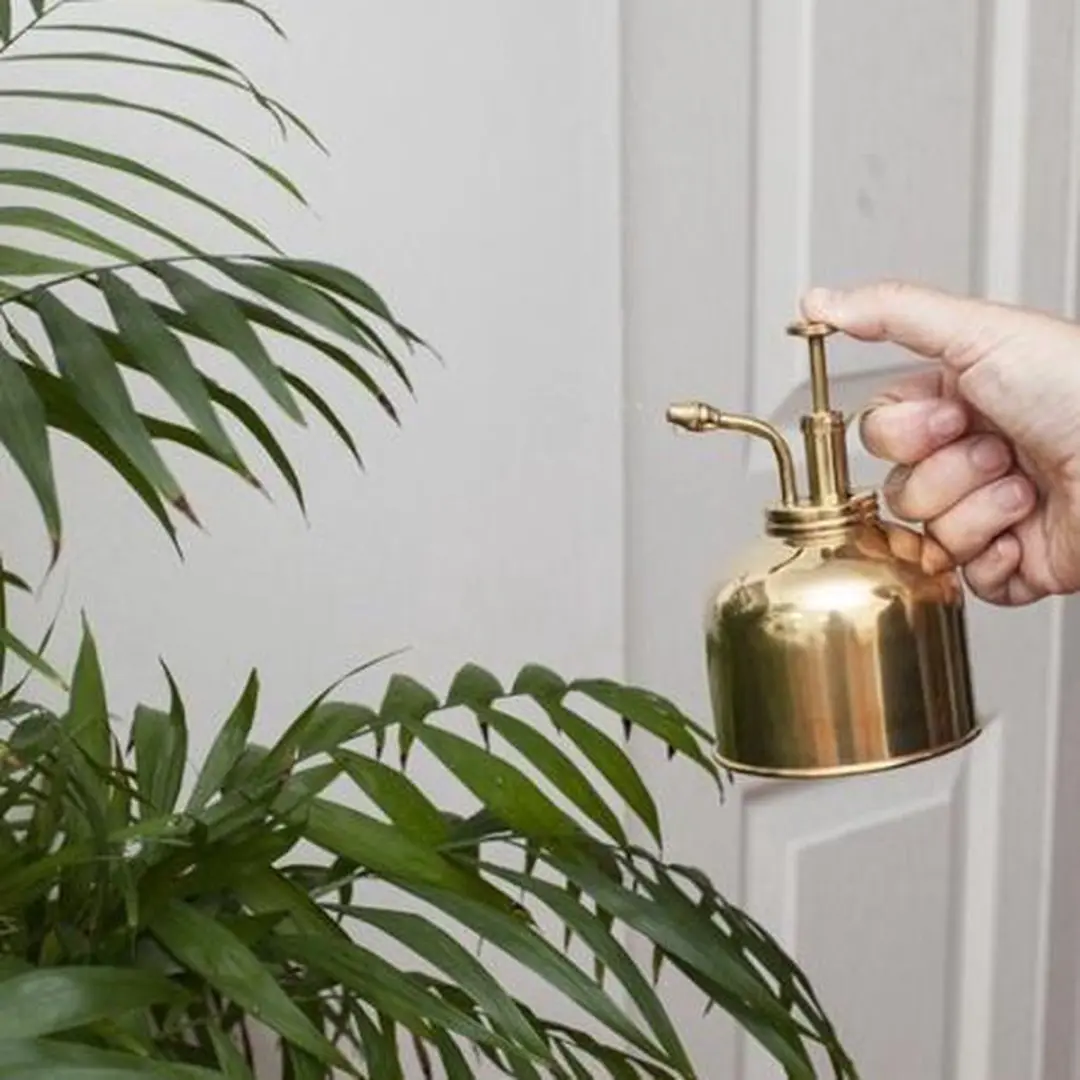 Kikkerland Vintage plantenverstuiver 0,3L - Goud - afbeelding 4 van 5
