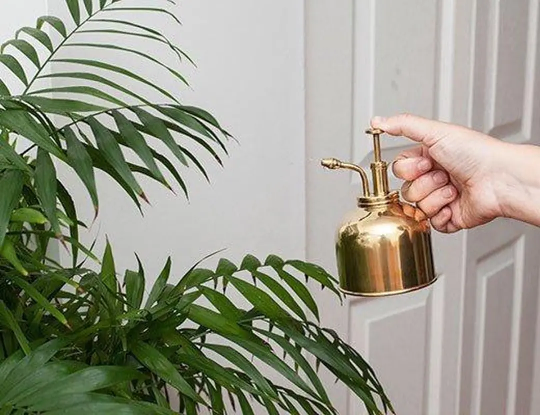 Kikkerland Vintage plantenverstuiver 0,3L - Goud - afbeelding 3 van 5
