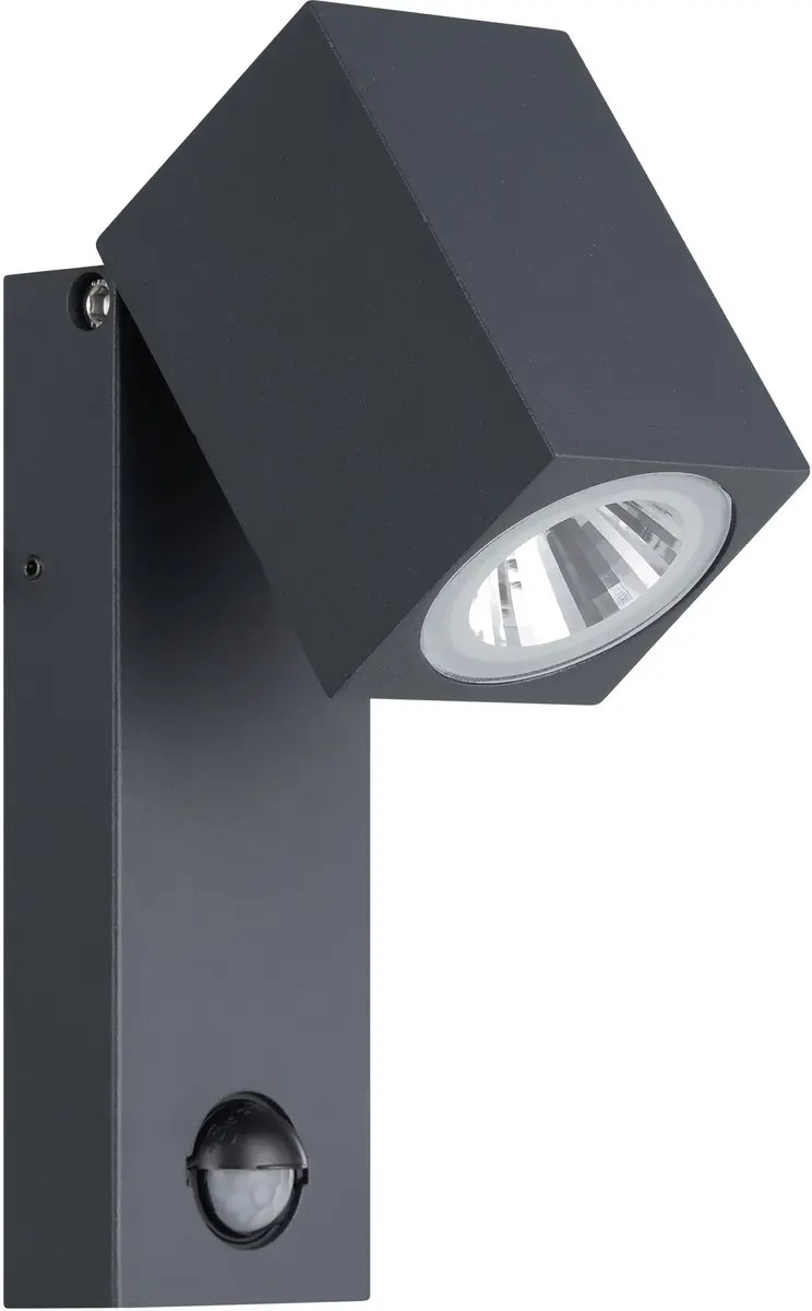 Eglo Sakeda Wandlamp Buiten met bewegingssensor