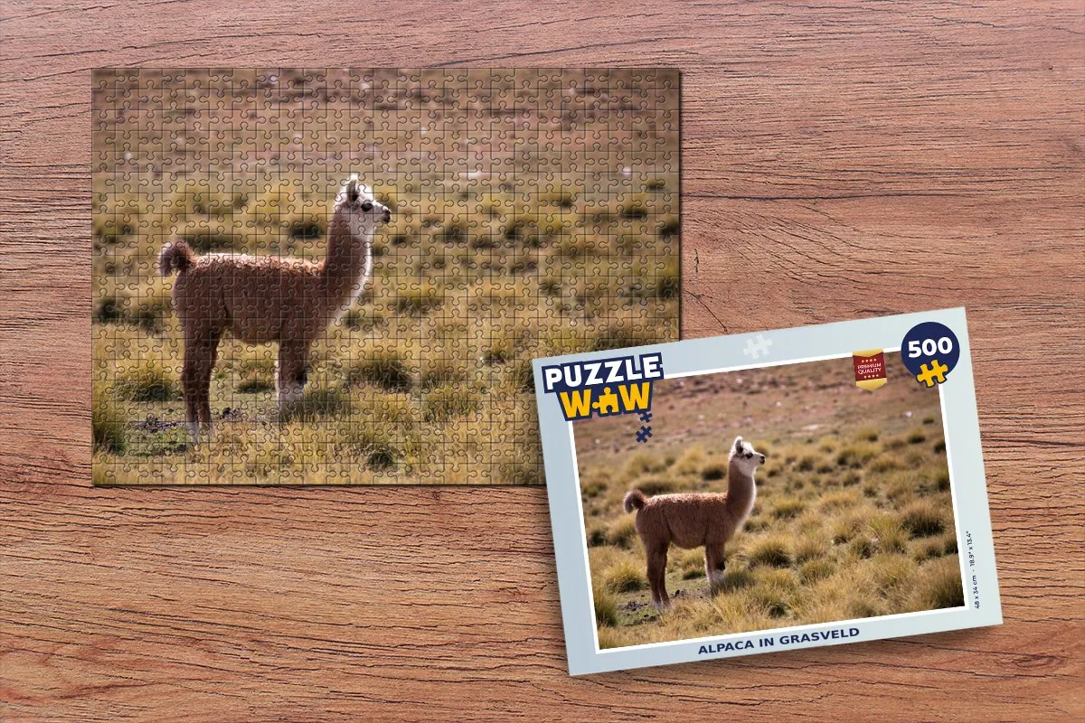 PuzzleWow Alpaca Legpuzzel 500 Stuks - Multicolor