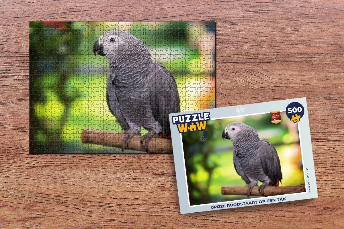 PuzzleWow Legpuzzel Grijze roodstaart 500 Stuks - Multicolor