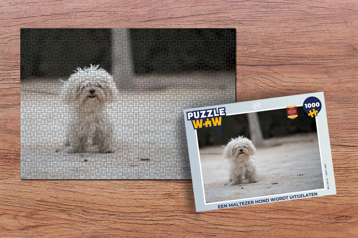 PuzzleWow Legpuzzel Maltezer Hond 1000 Stuks - Multicolor
