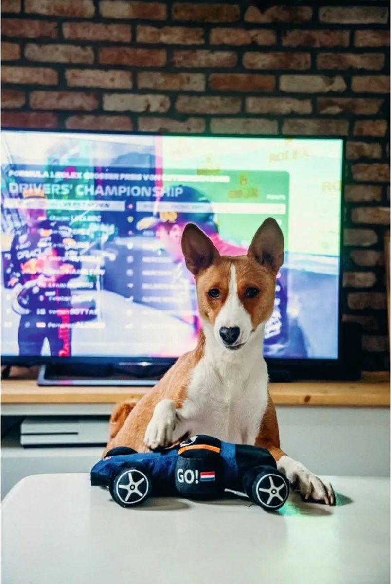 Beeztees Raceauto Formule 1 Hondenspeelgoed - Blauw - Soundchip