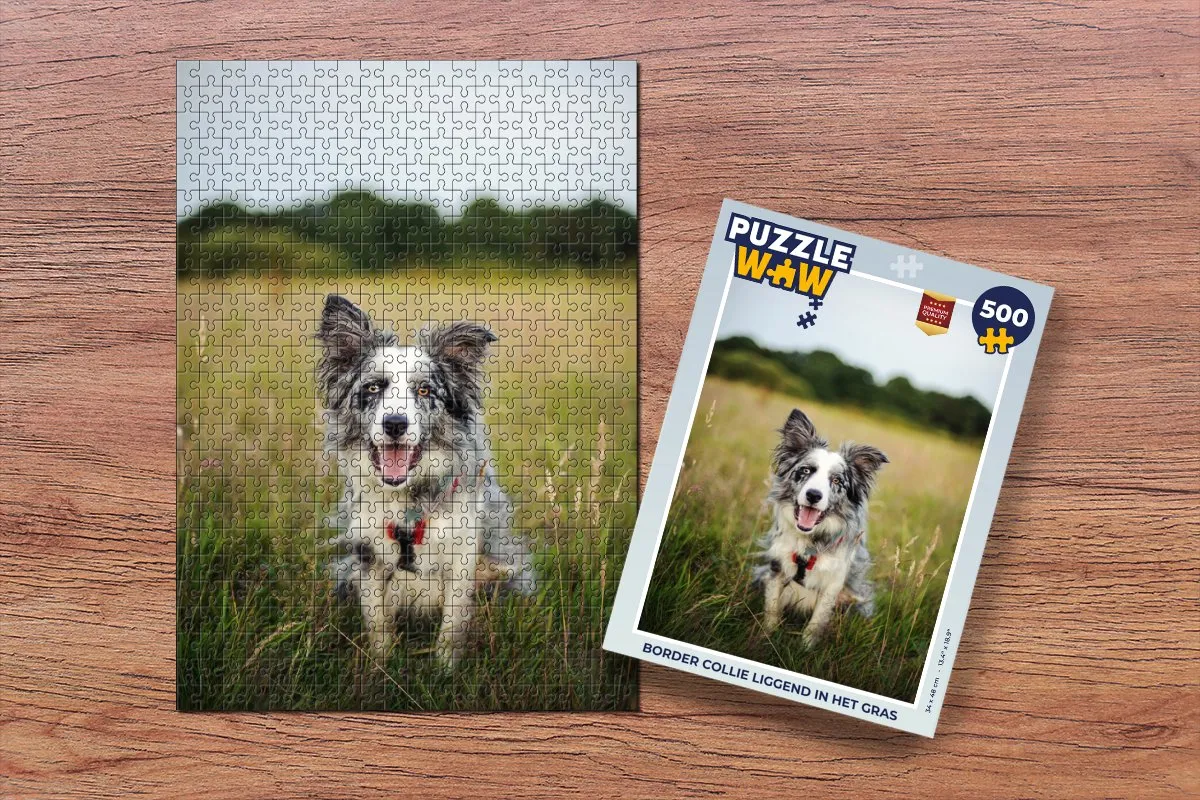 PuzzleWow Border Collie Legpuzzel 500 Stuks - Multicolor