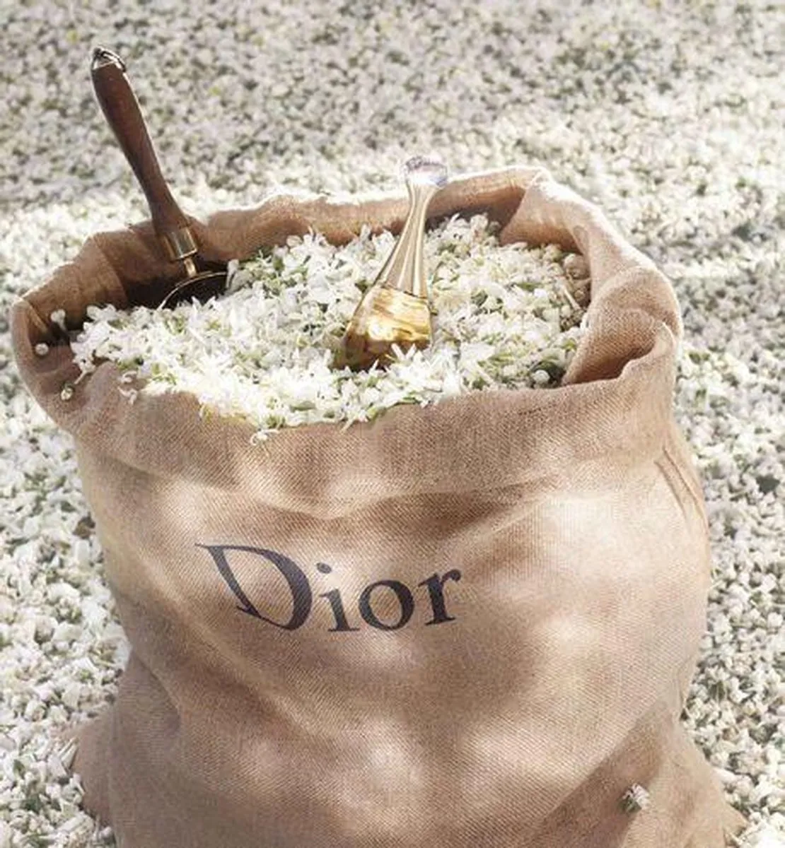 Dior J'adore Eau de Parfum 20ml - Roller