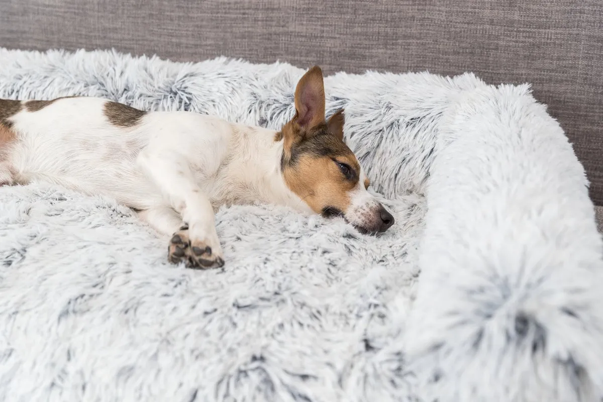 Trixie Hondenbed Harvey Meubelbeschermer Hoekig 70x90cm - Wit/Zwart
